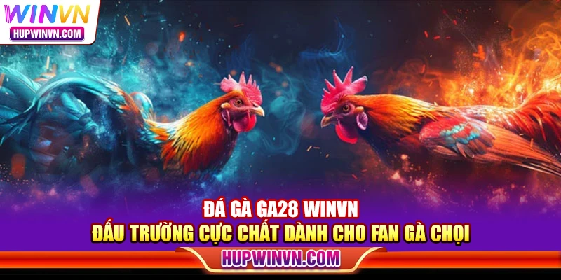 Đá gà GA28 Winvn – Đấu trường cực chất dành cho fan gà chọi