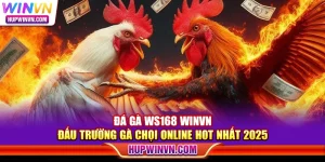 Đá gà WS168 Winvn – Đấu trường gà chọi online hot nhất 2025
