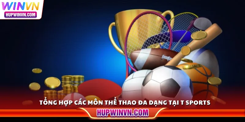 Tổng hợp các môn thể thao đa dạng tại T Sports