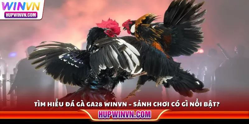 Tìm hiểu đá gà GA28 Winvn – Sảnh chơi có gì nổi bật?