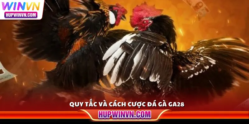 Quy tắc và cách cược đá gà GA28